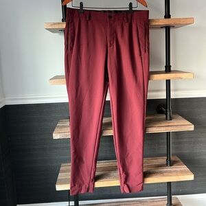 ZARA Ankle Zip Women’s Dress Pants in Burgundy